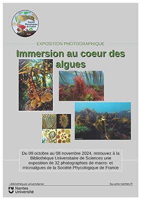 Exposition photographique 